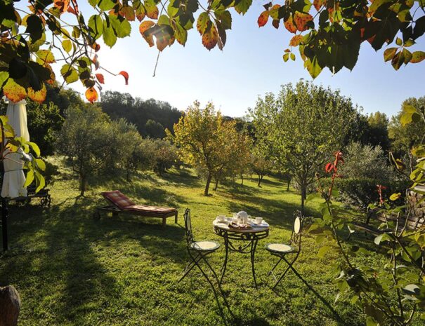 Zona relax immersa nella natura